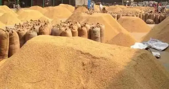 छत्तीसगढ़ में धान का दाम 3,358 रुपये प्रति क्विंटल करने की मांग, किसान संघ ने मुख्यमंत्री को लिखा पत्र